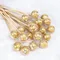 20/30/50pcs Clear Chocolate Wrapper Box Truffle Liner Flower Candy Box Chocolate Ball Holder Case