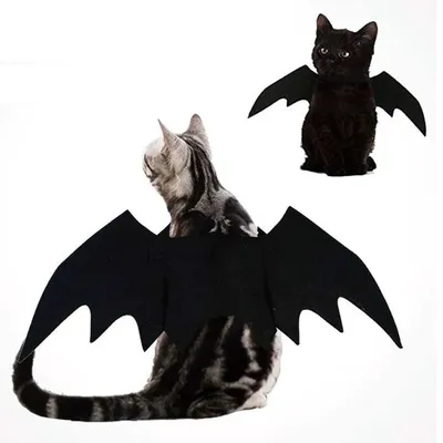 Halloween niedlichen Haustier Kleidung schwarze Fledermaus Flügel Geschirr Kostüm Cosplay Katze Image