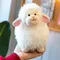 20 cm carino morbido obbedientemente agnello giocattoli di peluche morbido alpaca bambole di peluche ripiene pecora peluche giocattoli per bambini regali per bambini decorazione della casa