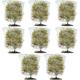 Fruit Tree Netting Bird Protection - Fine-meshed Insect Net with Drawstring, Bird Netting for Garden, Insect Bird Barrier Tree Net, for Small Bush Vegetables Strawberry Bush (8, 120x180cm)