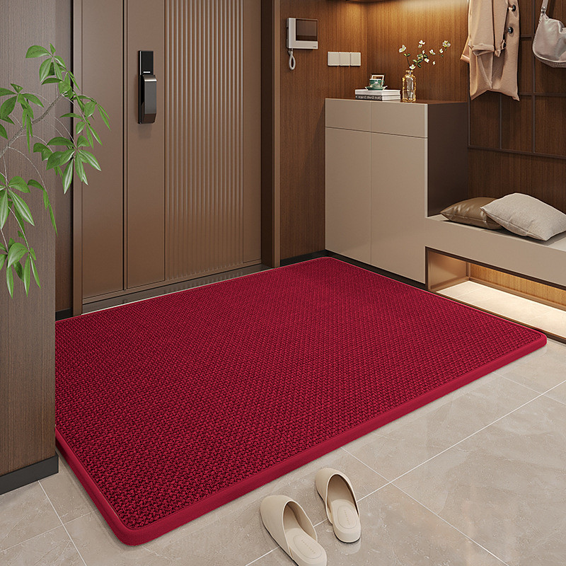 Anti-Slip Entrance Door Mat Absorbent and Dirt-Resistant Household Carpet Durable Non-Slip Door Mat for Indoor and Outdoor Use