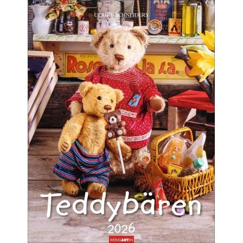 Teddybären Kalender 2026 - Weingarten
