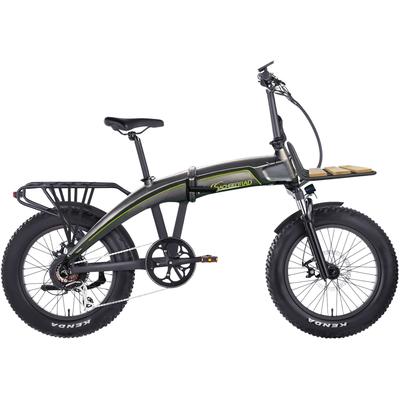 E-Bike SACHSENRAD "F6L" Gr. 45, schwarz, E-Bikes, 45cm, 20 Zoll (50,80cm), LCD-Steuerdisplay, Fahrmodus, Pedelec, LED-Frontlicht / Rücklicht