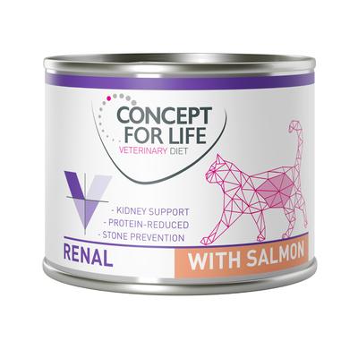 24 x 200 g Concept for Life Veterinary Diet Renal Lachs Nassfutter für ausgewachsene Katzen