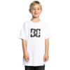 Shirttop DC SHOES "DC Star Glow", Kinder, Gr. 14(155-164cm), weiß, [Hauptstoff] 75% Baumwolle, 25% Baumwolle, Tops