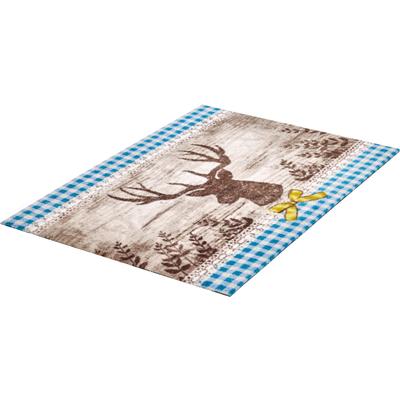 Fußmatte GRUND "Hubertus", braun (braun, blau), B:40cm H:8mm L:60cm, Kunstfaser, Teppiche, Schmutzfangmatte, In- und Outdoor geeignet, waschbar Image
