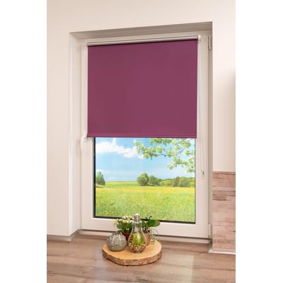 Seitenzugrollo K-HOME "Thermo Klemmfix-Rollo" Gr. 17, lila (beere), B:115cm H:150cm, Polyester, Rollos, 1 Stück Image