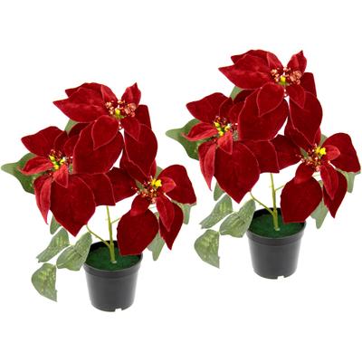 Kunstpflanze I.GE.A. "Samt-Poinsettie", rot, B:25cm H:32cm L:18cm, Obermaterial: 90% Polyester, 10% Kunststoff, Kunstpflanzen, im Topf, 2er Set Image