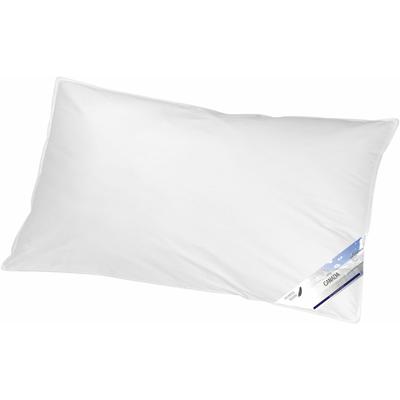 Federkissen KBT BETTWAREN "Canada", weiß, B:40cm L:80cm, Bezug: 100% Baumwolle. Füllung: 85% Federn, 15% Daunen, Kopfkissen Image
