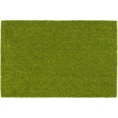 Fußmatte ASTRA "Coco Color Trend", grün (limette), B:40cm H:15mm L:60cm, Kokos, Teppiche, Kokos Türmatte, Aussenbereich, moderne Farben Image