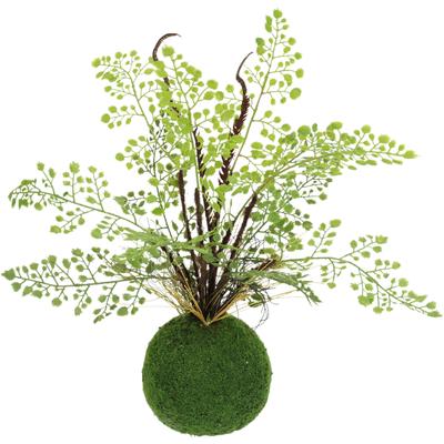Kunstpflanze I.GE.A. "Farnbusch auf Mooskugel", grün, B:28cm H:33cm L:28cm, Kunststoff, Kunstpflanzen, Künstliche Pflanze Waldfarn Image
