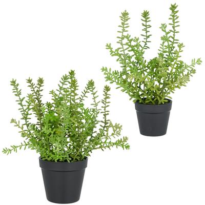 Kunstpflanze CREATIV GREEN "Sedum acre Yellow Queen", grün, H:32cm, Kunststoff, Kunstpflanzen, mit filigranen Sedumzweigen Image