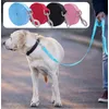 Nylon-Hunde-Trainingsleine, 2 cm breit, 4,5 m/6 m/10 m/30 m lange Leine für kleine/mittlere/große Hunde, Zug, Camping, Hinterhof