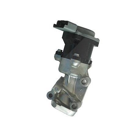 Magneti Marelli AGR-Ventil [Hersteller-Nr. 571822112035] für Citroën, Jaguar, Land Rover, Peugeot Image