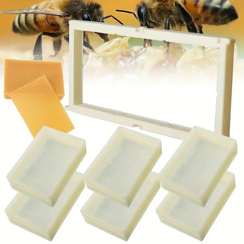 500g Bienenstock Kamm Honig Box Kassette Transparent PET Honig Box Bienenzucht Werkzeuge Sicherheit und Hohe Qualität Für Bienenhonig Imker Image