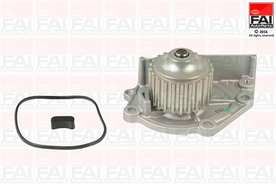 Fai Autoparts Wasserpumpe [Hersteller-Nr. WP2743] für Fso, Land Rover, Lotus, Mg, Rover