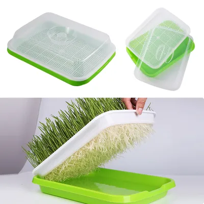 Germination Nursery Tray Pea Mung Bean Peanut Wheat Water Cultivation Seedling Tray Soilless Cultivation Tray Nursery Tray