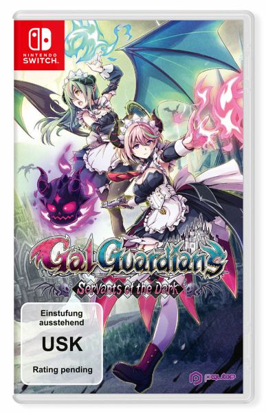 Gal Guardians: Servants of the Dark (Nintendo Switch) - Flashpoint