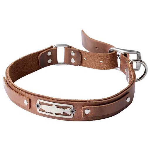 Orvis X Sight Line Provisions Dog Collar - Brown Small