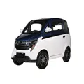 2024 Mini SUV elettrico Light Van 3 posti per auto chiuse con cambio automatico Veicolo New Energy certificato CEE