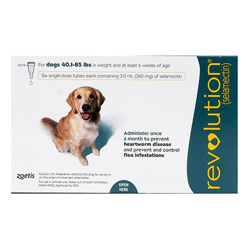 Revolution Large Dogs 40.1-85lbs (Grün) 3 Dosen