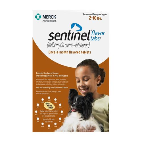 Sentinel Hunde 2-10 Pfund (Braun) 6 Kauartikel