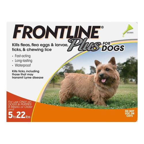 Frontline Plus Kleine Hunde bis zu 22lbs (Orange) 6 Dosen