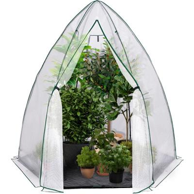 Idmarket - berwinterungsgewächshaus Kuppel Maxi Format 250 x 250 x 200 cm Balkon und Terrasse Image