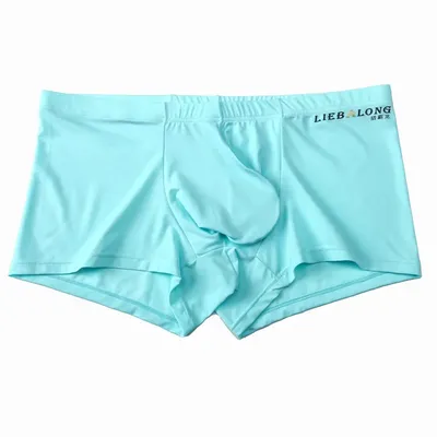Männer Sexy Boxy Unterwäsche Eis Seide Kühles Gefühl Elastische Ausbuchtung Beutel Unterhose Elefon Nase Boxer Shorts Weichen Komfort Schnell Trocknend Stamm Image