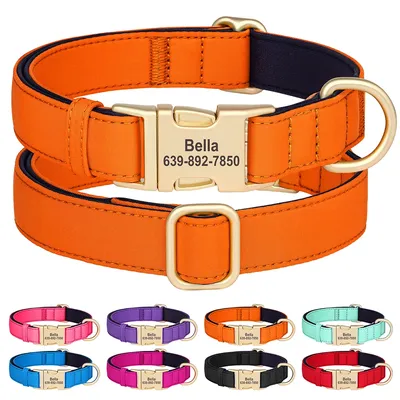 Personalized Dog Collar Waterproof Nylon Dog Collars Soft Padded Pet Necklace Free Engraved for Small Medium Large Dogs Pitbull