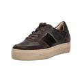 Sneaker PAUL GREEN "Paul Green Sneaker Veloursleder", Damen, Gr. 39, braun lack, Veloursleder, casual, Schuhe