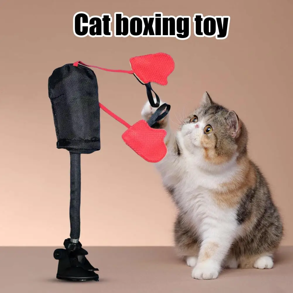Guantoni da boxe per gatti Giocattolo con ventosa compatta Azione di rimbalzo a molla Sacco da boxe per gatti Giocattolo Sacco da boxe per gattini Giocattolo per esercizi per gatti