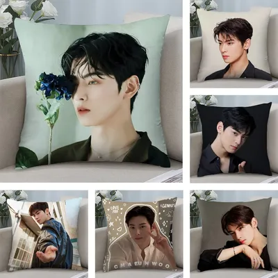 Singer C-Cha EunWoo Kissenbezug, Plüschstoff, weich, doppelseitig bedruckt, Sofakissenbezug, Überwurf-Kissenbezüge Image