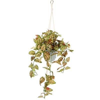Kunstpflanze I.GE.A. "Künstliche Fittonia Hängeampel mit Topf Kunstpflanze", grün (grün, rot), B:40cm H:80cm L:38cm, Polyester, Kunstpflanzen, Topfpflanze Kunstblume Image