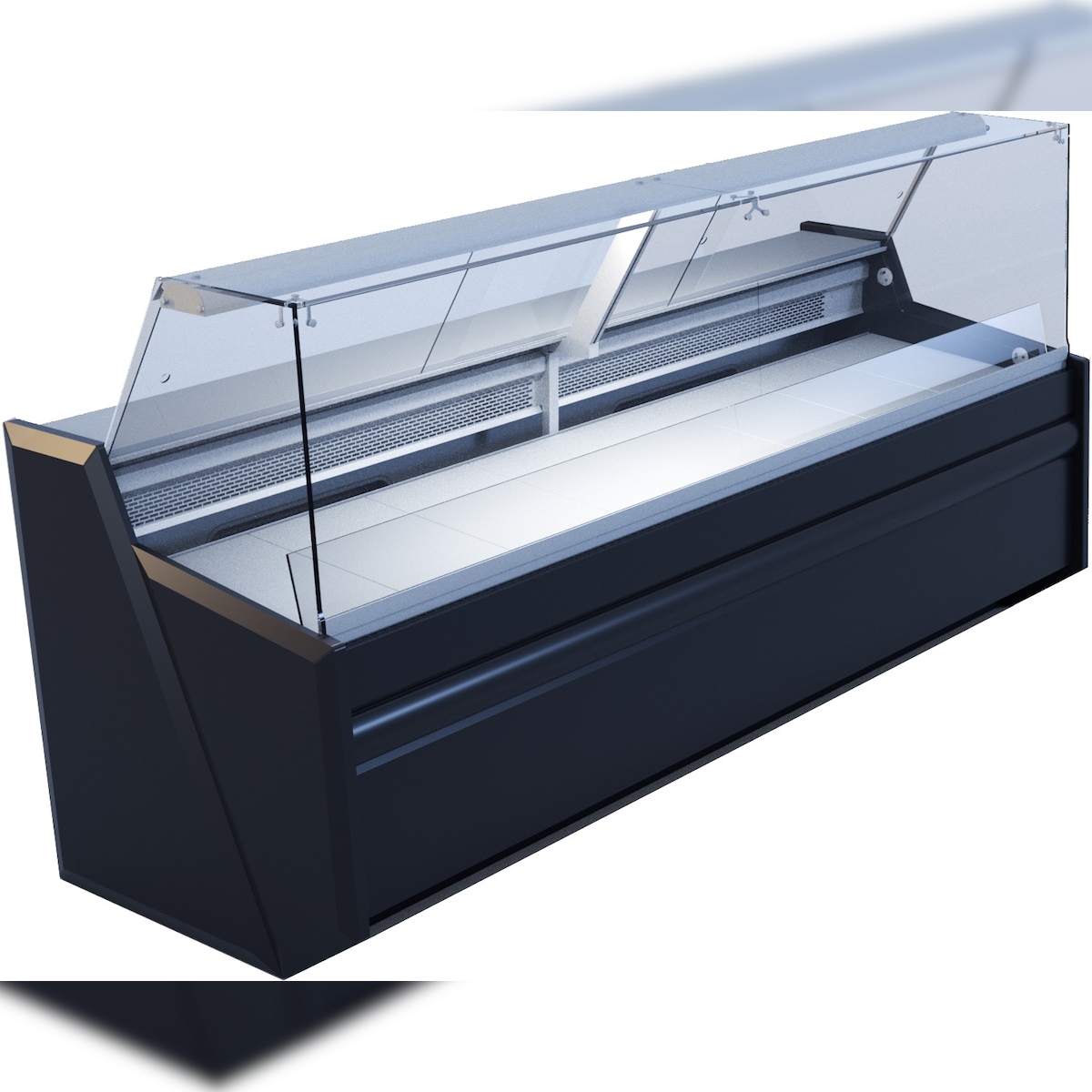 IGLOO Fischtheke Maße (BxTxH): 2520x860x1220 440 L Image