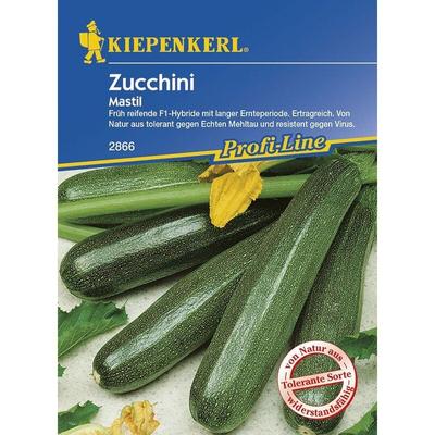 Zucchini Mastil Cucurbita pepo, Inhalt 7 Korn Gemüsesamen - Kiepenkerl Image