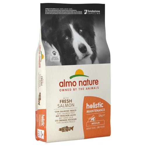 2x12kg Lachs Reis Medium Almo Nature Holistic Hundefutter trocken