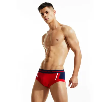 Männer Boxy Unterwäsche Jugend Niedrige Taille U Konvexen Beutel Boxershorts Baumwolle Atmungsaktive Komfort Sport Unterhose Männliche Mode Badehose Image