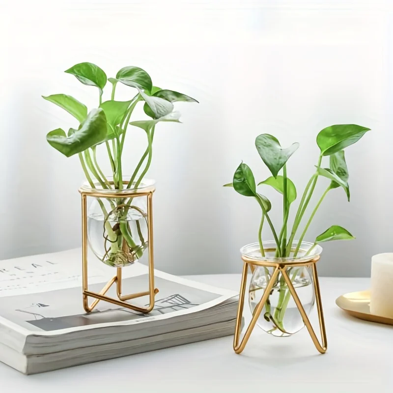 Fügen Sie einen Hauch von Natur an Ihr Büro mit diesem kreativen Hydrokultur-Vasen-Desktop-Gartenplanter hinzu Image