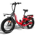 Bici elettrica pieghevole FAFREES F20 X-Max con pneumatici grassi, batteria da 20 "48V30Ah, motore con mozzo 750W, freni a disco idraulici MTB Ebike per adulti