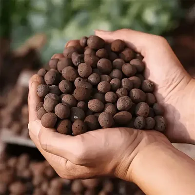 Soil Ceramsite Clay Stone Natural Rock Decorative Rocks for Planters Succulent Stones Cactus Indoor Plants Pebbles Small