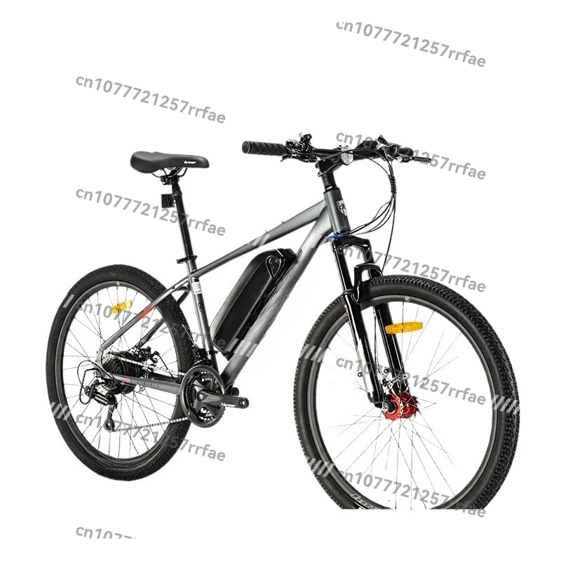 Permanente Lithium-Batterie mit doppelter Scheibenbremse für Elektrofahrräder Image