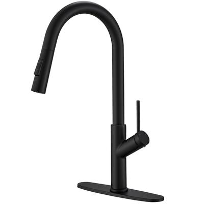 WIZ Single Handle Pull Down Sprayer Kitchen Faucet in Matte Black