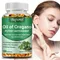 Oregano Oil - Immune and Kidney Health, Digestive Health, Antioxidant Support, Bloating Relief