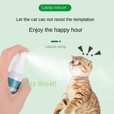 Hanhanle Katzen spielzeug Haustier liefert Katzen kratz brett Induktor Katze Selbst-Hi flüssiges Katzenminze spray