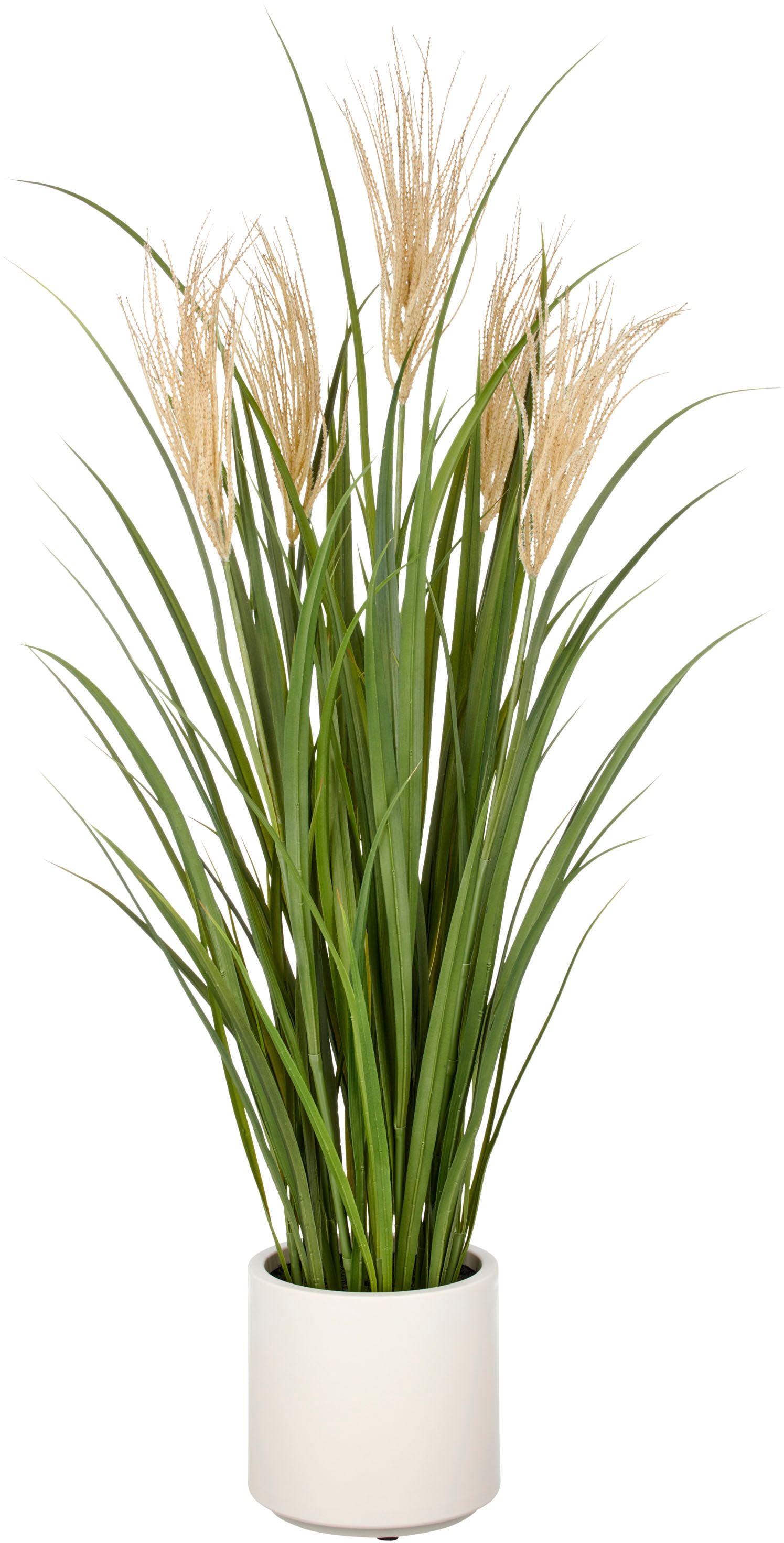 Kunstgras CREATIV GREEN "Grasbusch Schilfrohr", grün, H:125cm, Kunststoff, Kunstpflanzen, im eleganten Topf
