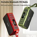 Radio portatile FM Mini radio Bluetooth Altoparlante Suono Hifi Soundbar Subwoofer Vivavoce Walkman Lettore musicale Registratore con microfono