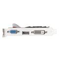 Tlily - Scheda grafica GT610 1GB DDR3 810MHz 1800 64-bit 40nm vga+hd+dvi