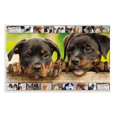 Herma Schreibtischunterlagen »Hunde«, 55x35 cm Image