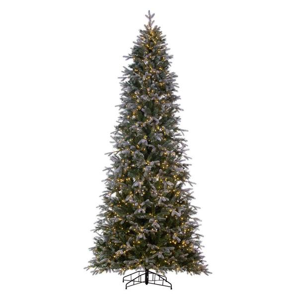 Vickerman 692523 - 5.5' x 36" Artificial Frosted Slim Douglas Fir 300 Dura-Lit� Warm White LED Lights Christmas Tree (K224556LED)